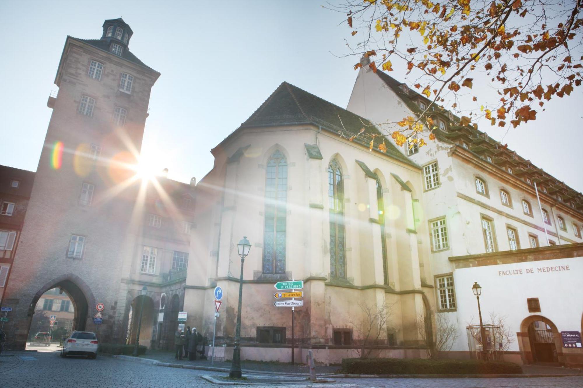 Logis Hotel Ettenheim Strasburgo Esterno foto